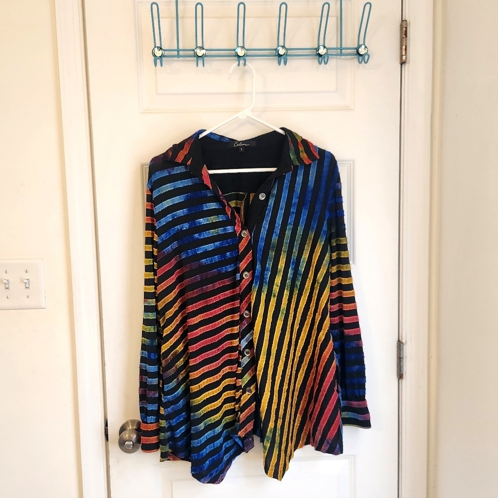 Womens Calessa Long Sleeve Multicolor Rainbow Blouse Zebra Size L Pockets #P837